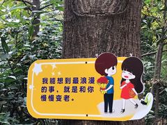 -西苑半岛·中餐厅