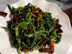 -贺秦生陕面王(富力城店)