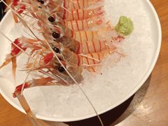 -月龍吟(朝龙汇店)