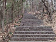 -紫金山天文台