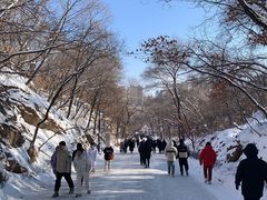 -北山公园