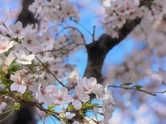 -龙美术馆(西岸馆)