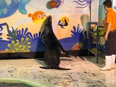 -太平洋海底世界