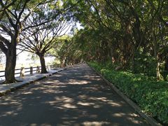 -大湾区中央湿地公园