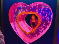 -多彩贵州城极地海洋世界