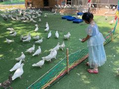 -长白岛森林公园