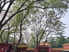 -北京市劳动人民文化宫(太庙)