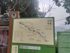 -莫里热带雨林景区