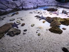 -多彩贵州城极地海洋世界