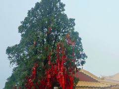 -终南山南五台景区