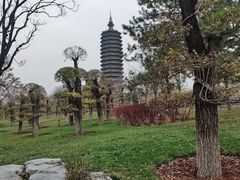 -西海子公园