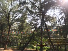 -漳州滨海火山岛自然生态风景区