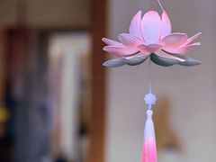 -普陀山雷迪森庄园