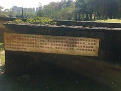 -王借岗森林公园