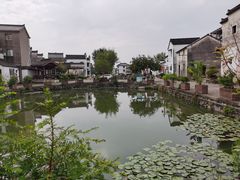 -东梓关景区村庄
