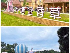 -大塘金香草谷