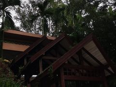 -七仙岭君澜度假酒店·桃源小馆中餐厅