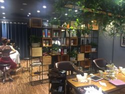 点击看大图 -藤野造型