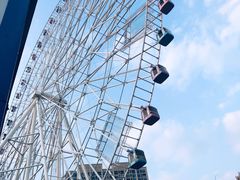 -弘阳·未来世界(弘阳广场店)