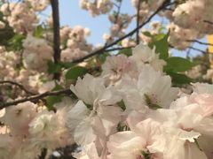 -苏州卫生职业技术学院(石湖校区)