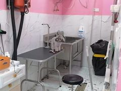 -狗不理喵子(百富路店)