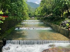 -广州白江湖森林公园