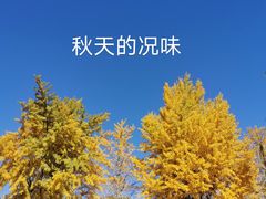 -元大都城垣遗址公园