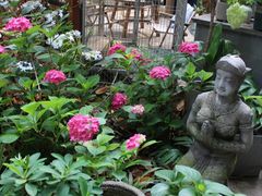 -谷咖啡·鲜花绿植花园餐厅