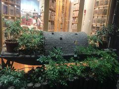 -猫的天空之城概念书店(杭州南宋御街店)