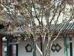 -莲池书院博物馆