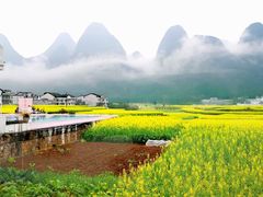 -万峰林风景区