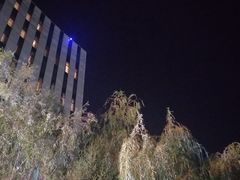 -长春净月潭喜来登酒店·盛宴标帜餐厅