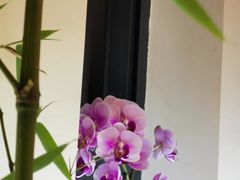 -十二舍·湯物素煮(江泰潤政店)
