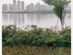 -艾溪湖湿地公园