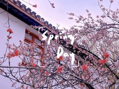 -南通博物苑-崇川人民公园