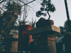-西苑公园