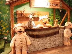 -济州岛泰迪熊博物馆