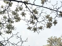-中国计量大学(西校区)