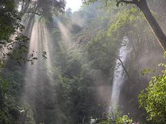 -莫里热带雨林景区