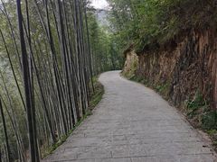 -塔川景区