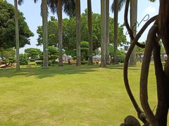 -石炮台公园
