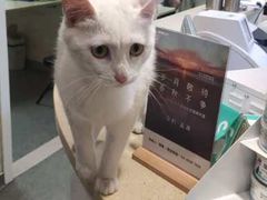 -安安宠医·安宠宠物医院
