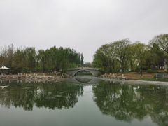 -大兴滨河森林公园