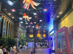 -杭州开元森泊度假乐园