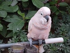 -南宫五洲植物乐园