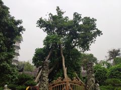 -国恩寺