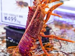 -盒马X会员店(上海森兰商都店)
