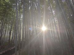 -镇江市南山风景名胜区竹林景区