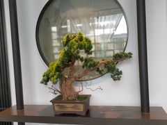 -豫丰汇河南名菜楼(武记餐饮)
