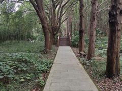 -同里国家湿地公园